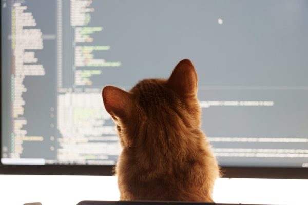 Mastering Software Development: Best Practices and Strategies